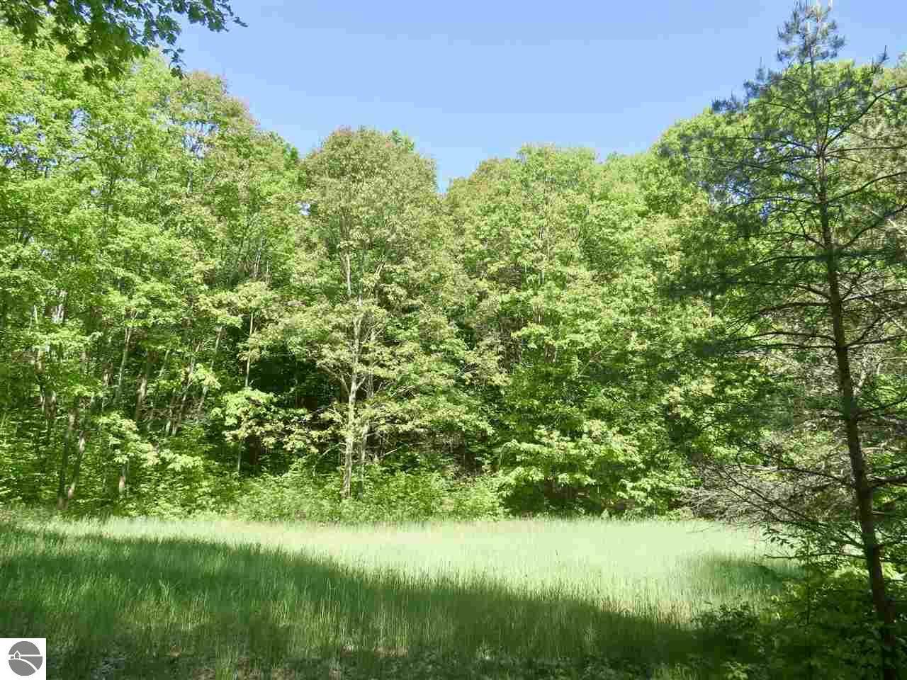 Property Photo: 000 Marilla Road MI 49625