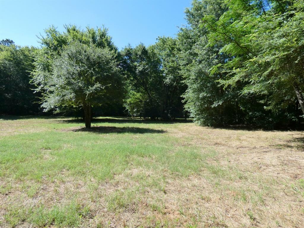 Property Photo:  Tbd Fm 1795  TX 75755 