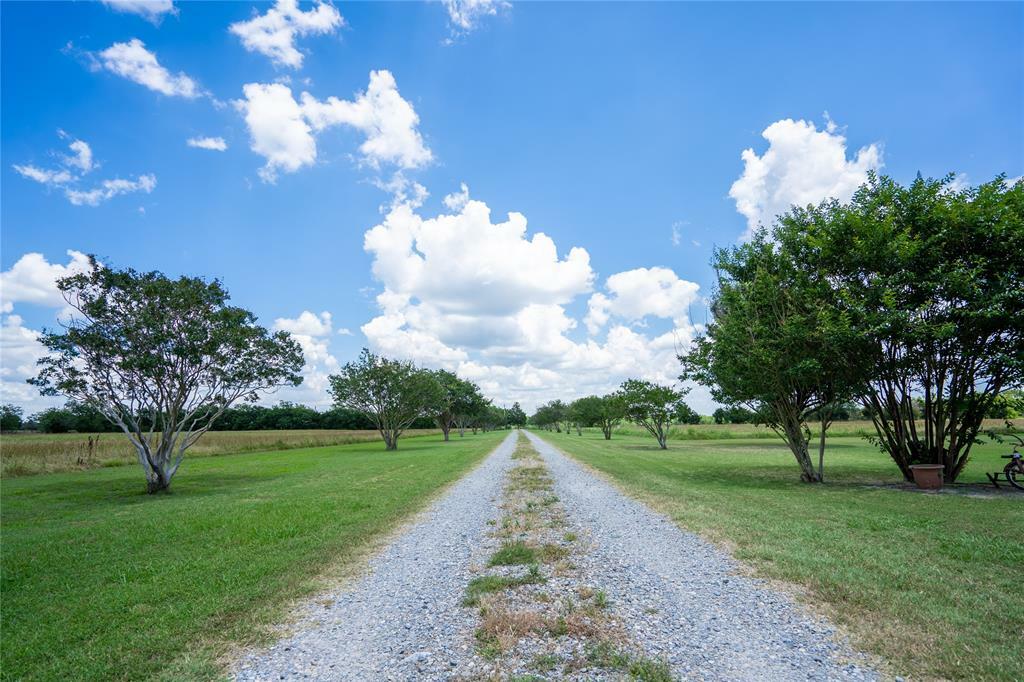 Property Photo:  2442 County Road 1077  TX 75442 