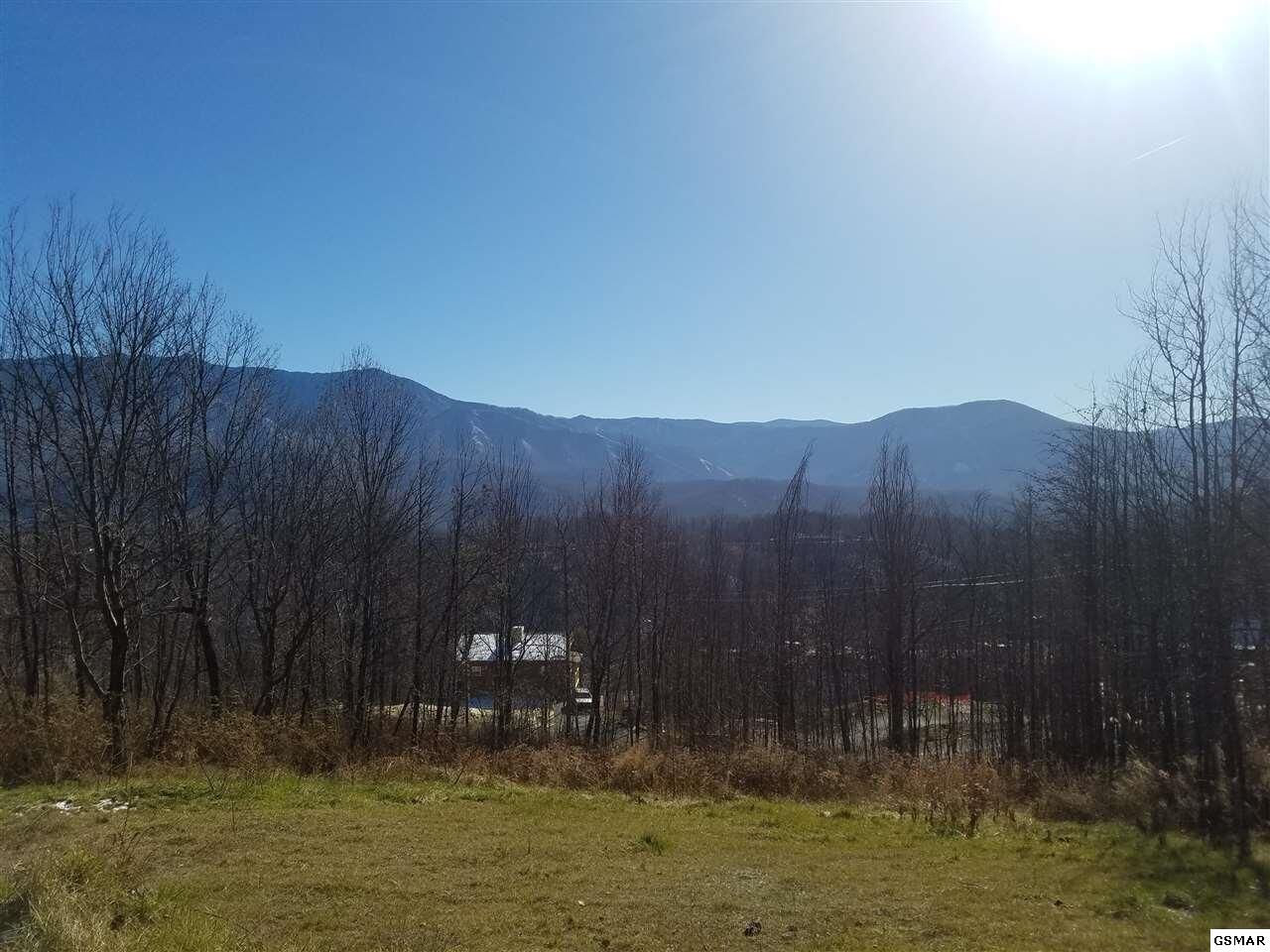 Property Photo:  715 Bear Walk Way  TN 37738 