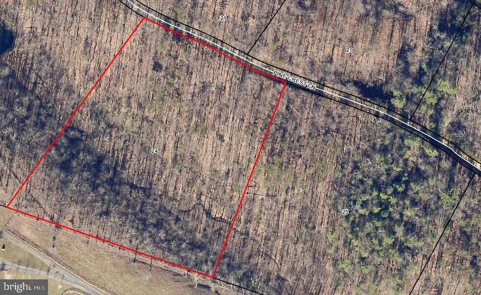 Property Photo:  Lot 24 Pine Crest Lane  VA 22603 