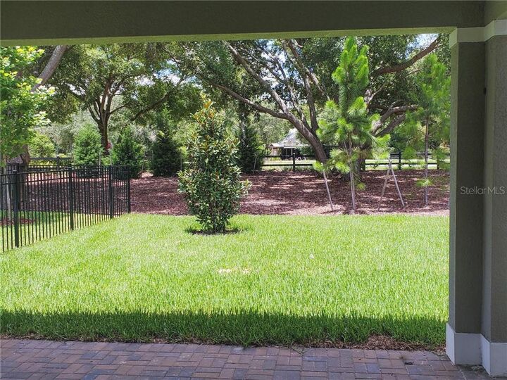 Property Photo:  1113 Bobcat Chase Lane  FL 34787 