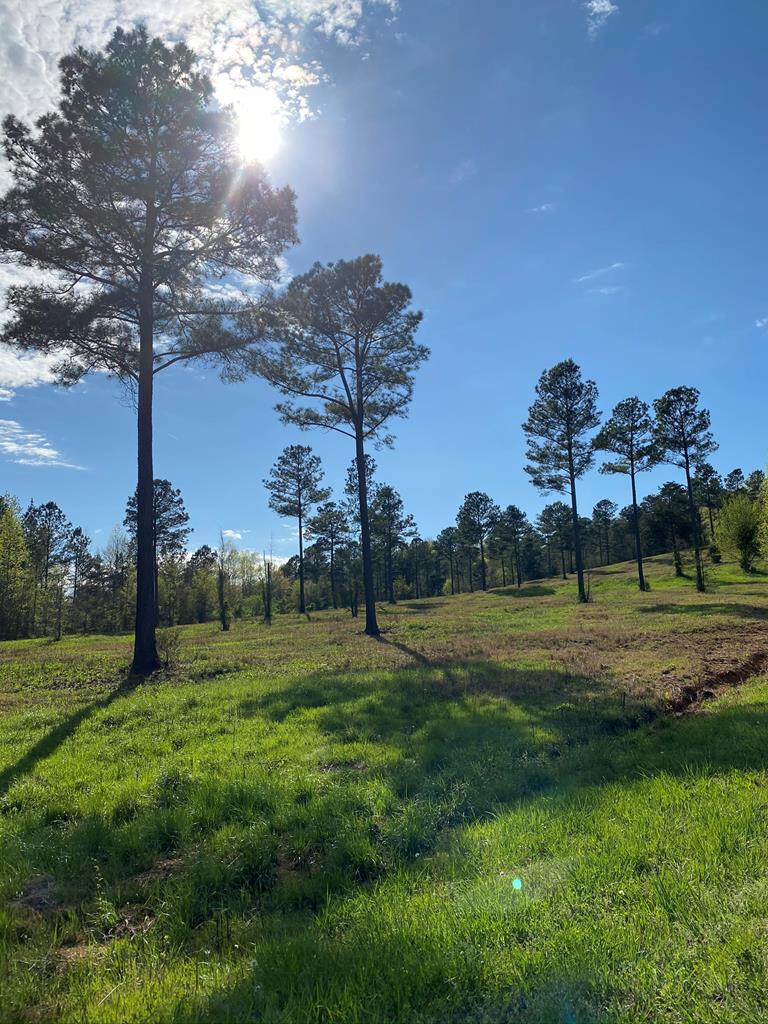 Property Photo: Tract 13 County Road 754 TN 37370