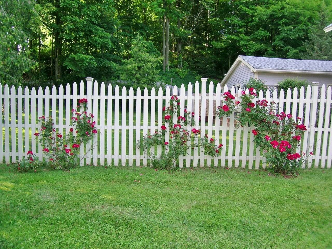 Property Photo:  497 Old Hollow Road  VT 05473 