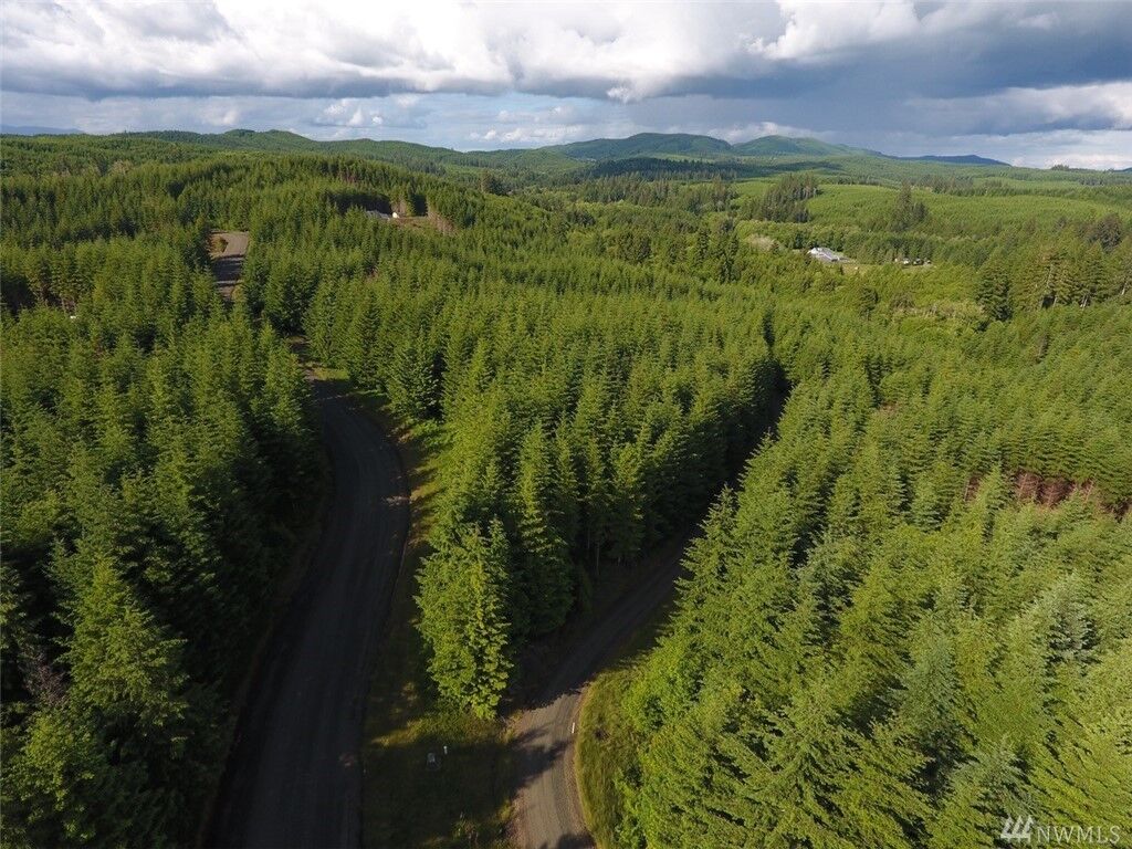 Property Photo:  80 Arrowhead Lane  WA 98541 