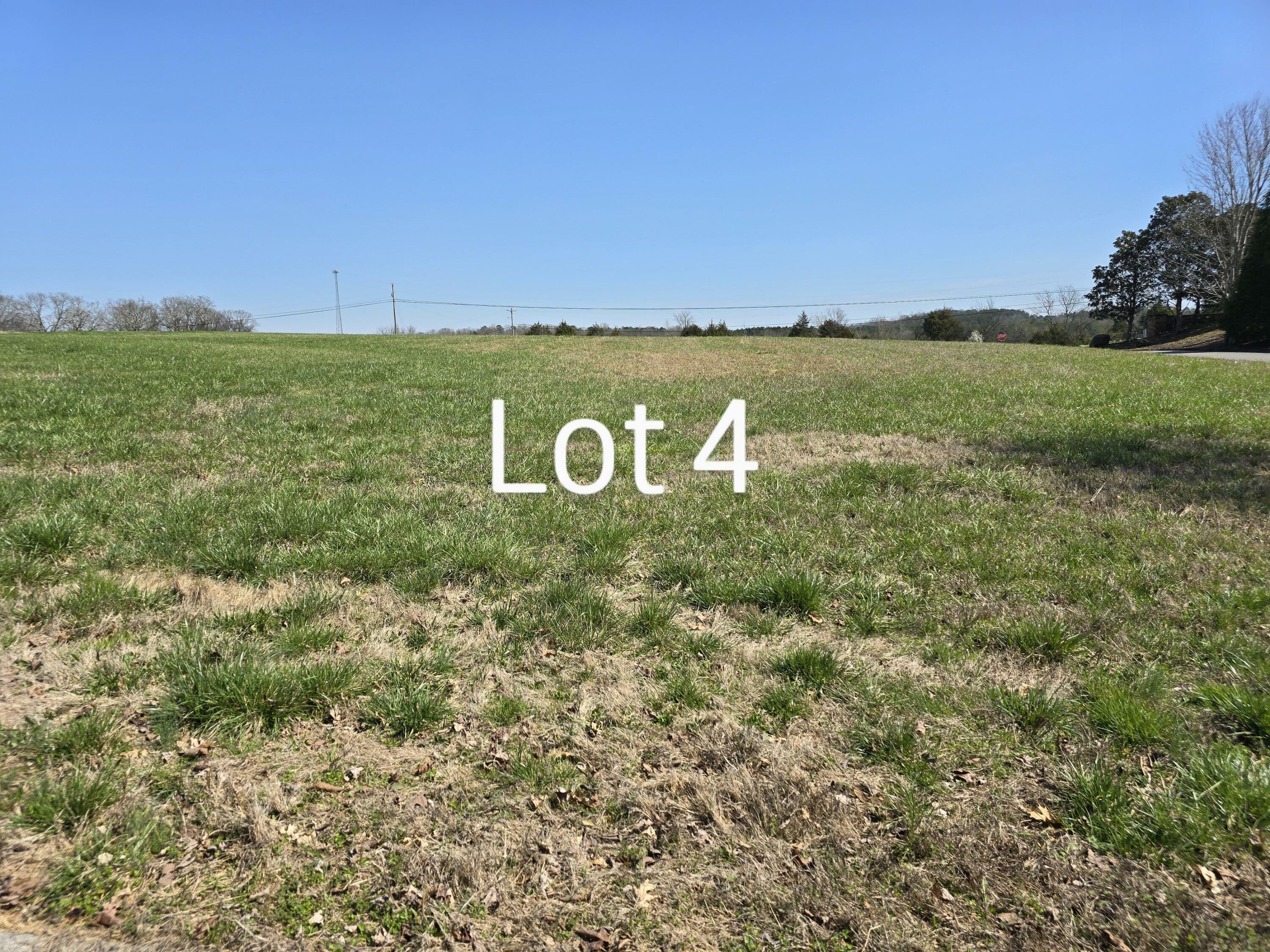 Property Photo: Lot 4 Watauga Lane TN 37308