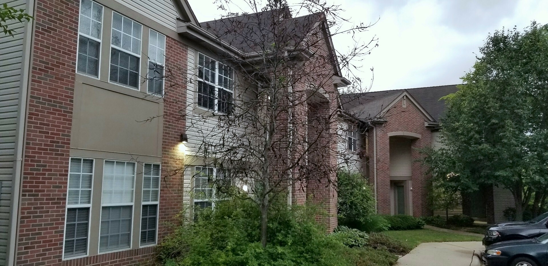 Property Photo: 1678 Carlemont Drive F IL 60014