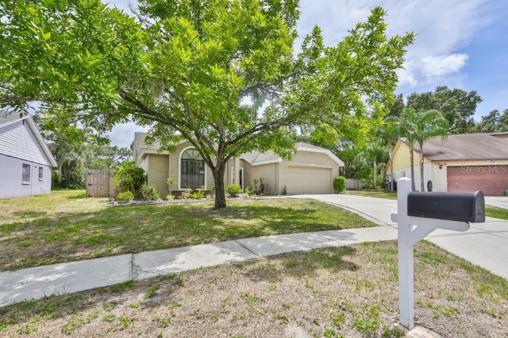 Property Photo:  12119 Wildbrook Drive  FL 33569 