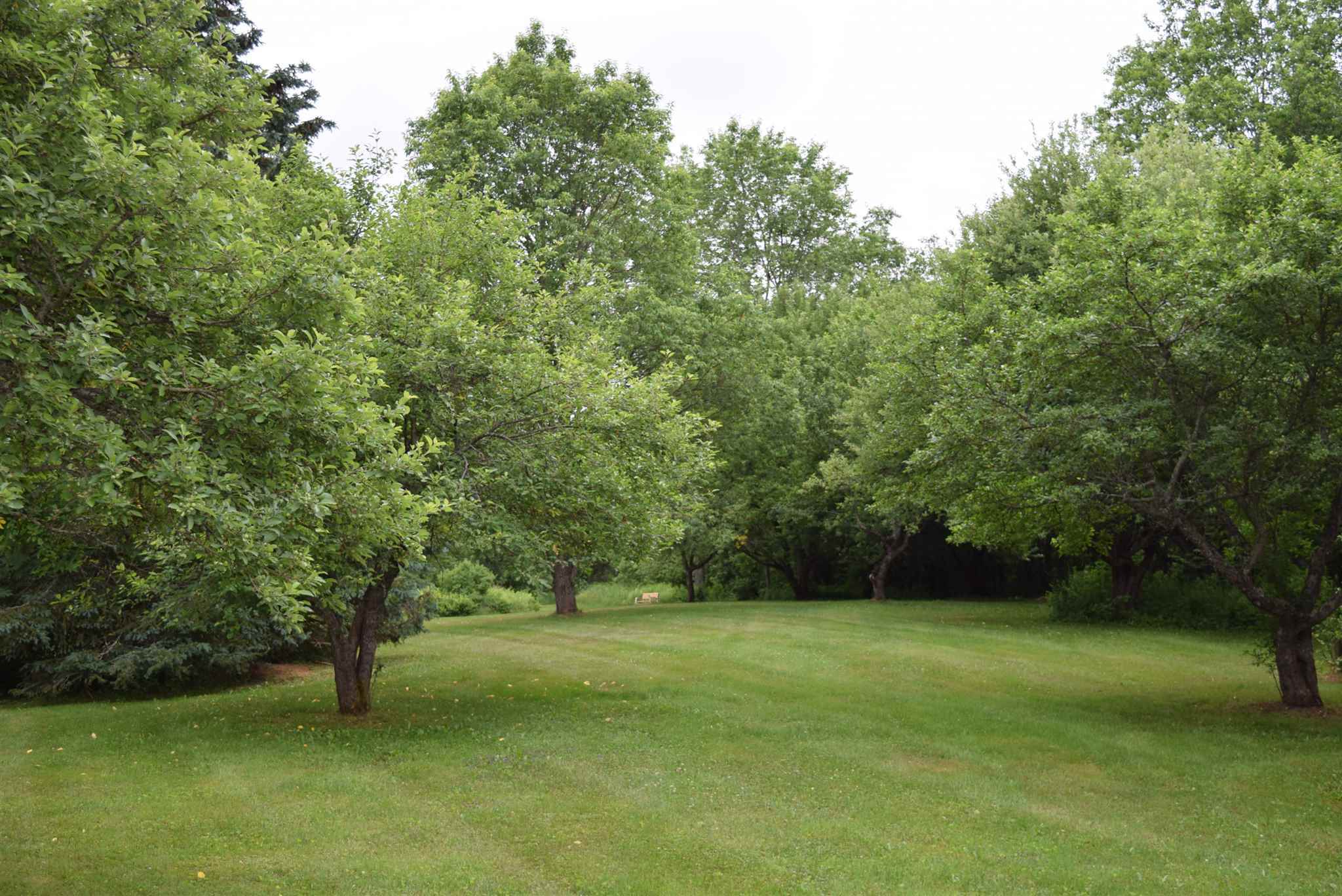 Property Photo:  85 Ennis Road  VT 05647 