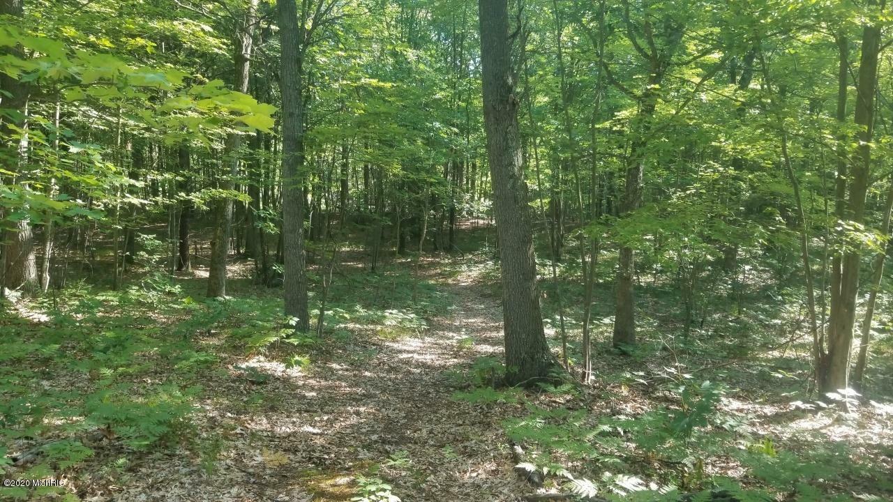 Property Photo: Par E Lyman Street MI 49457