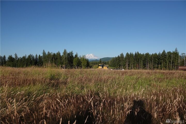 Property Photo:  17910 Fennel Rd SE  WA 98597 