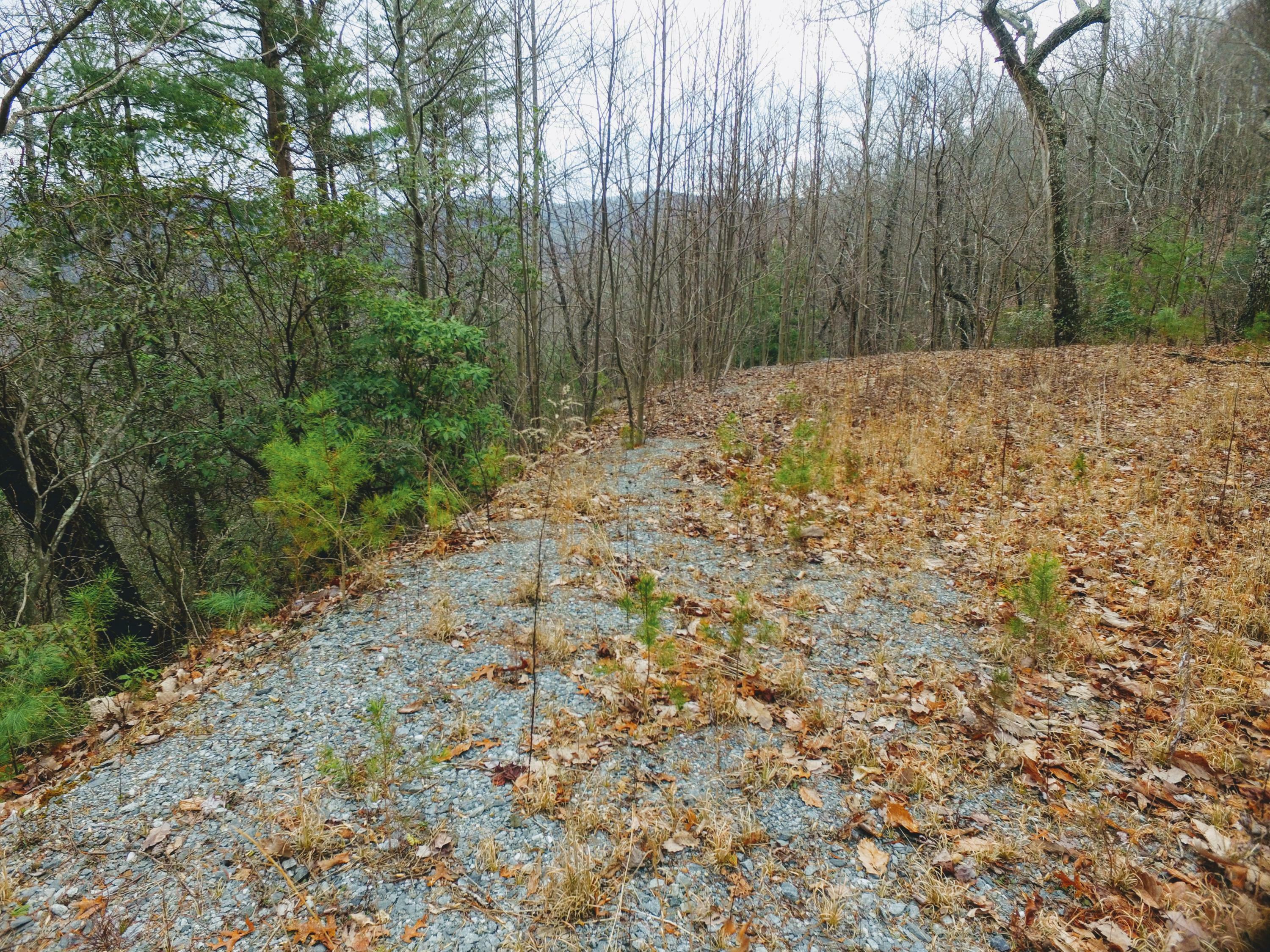 Property Photo:  00 Highway 52 46 &Amp 47  GA 30705 