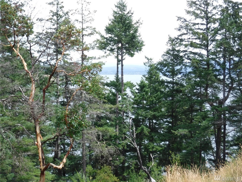 Property Photo: 1250 Island Dr WA 98262