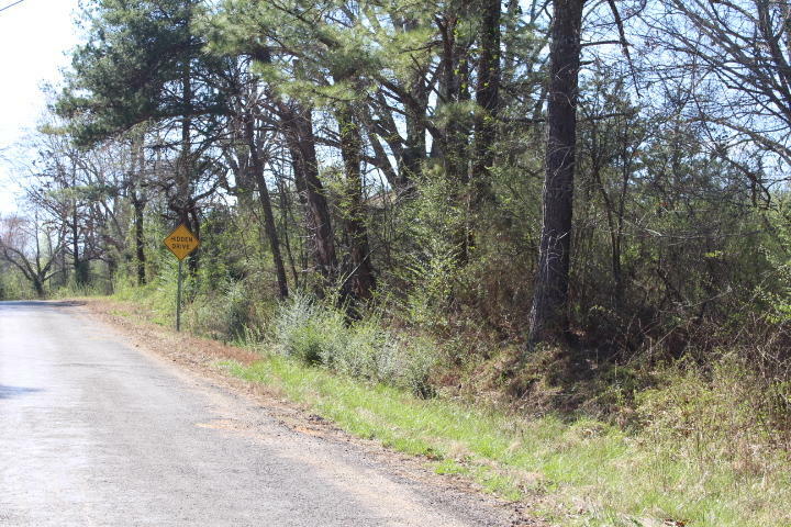 Property Photo: 0 County Rd 81 AL 35966