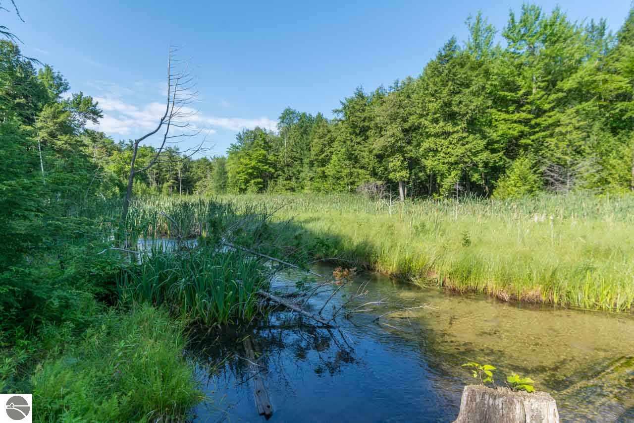 Property Photo:  0000 S Lime Lake Road  MI 49621 