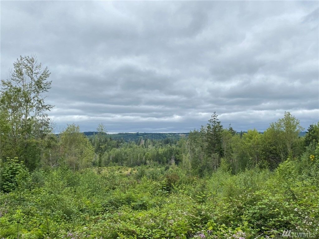 Property Photo: 2 Norton Lane WA 98570