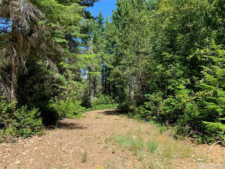 310 NE Haven Lake Dr  Tahuya WA 98588 photo