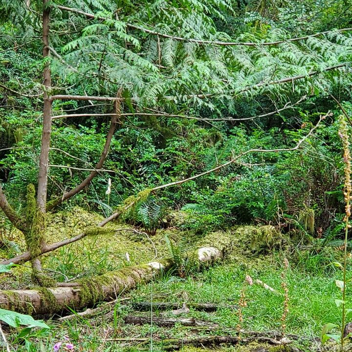 Property Photo:  600 E Pointes Dr W  WA 98584 