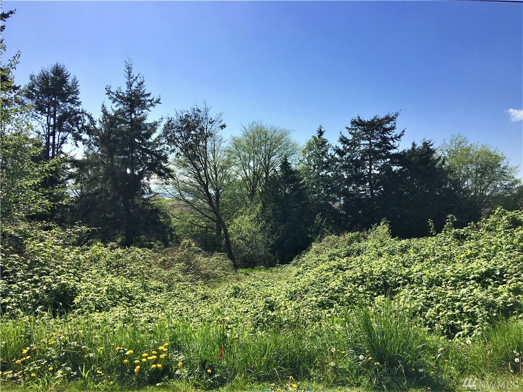 0 Perry Lot 135 & Lot 136 Dr  Coupeville WA 98239 photo