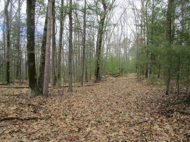 Property Photo: Chippewa Beach Road MI 49749
