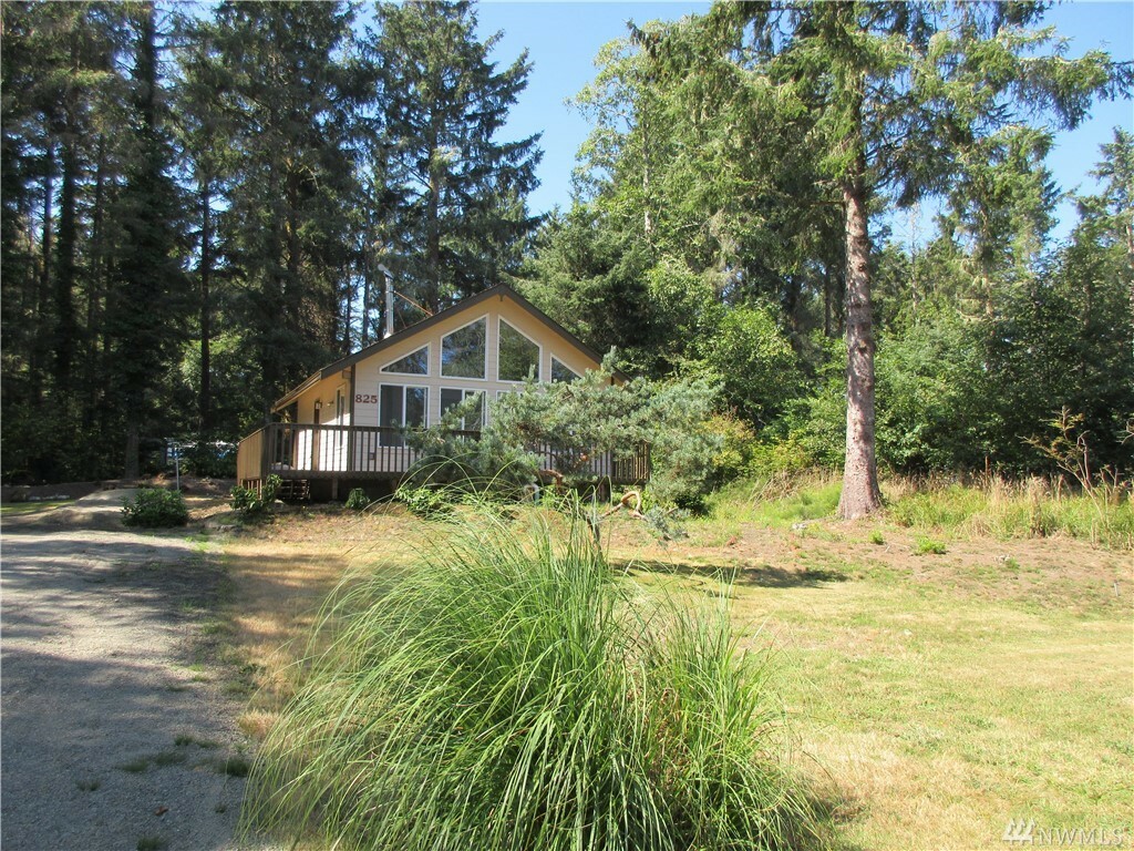 Property Photo:  825 Duck Lake Dr NE  WA 98569 