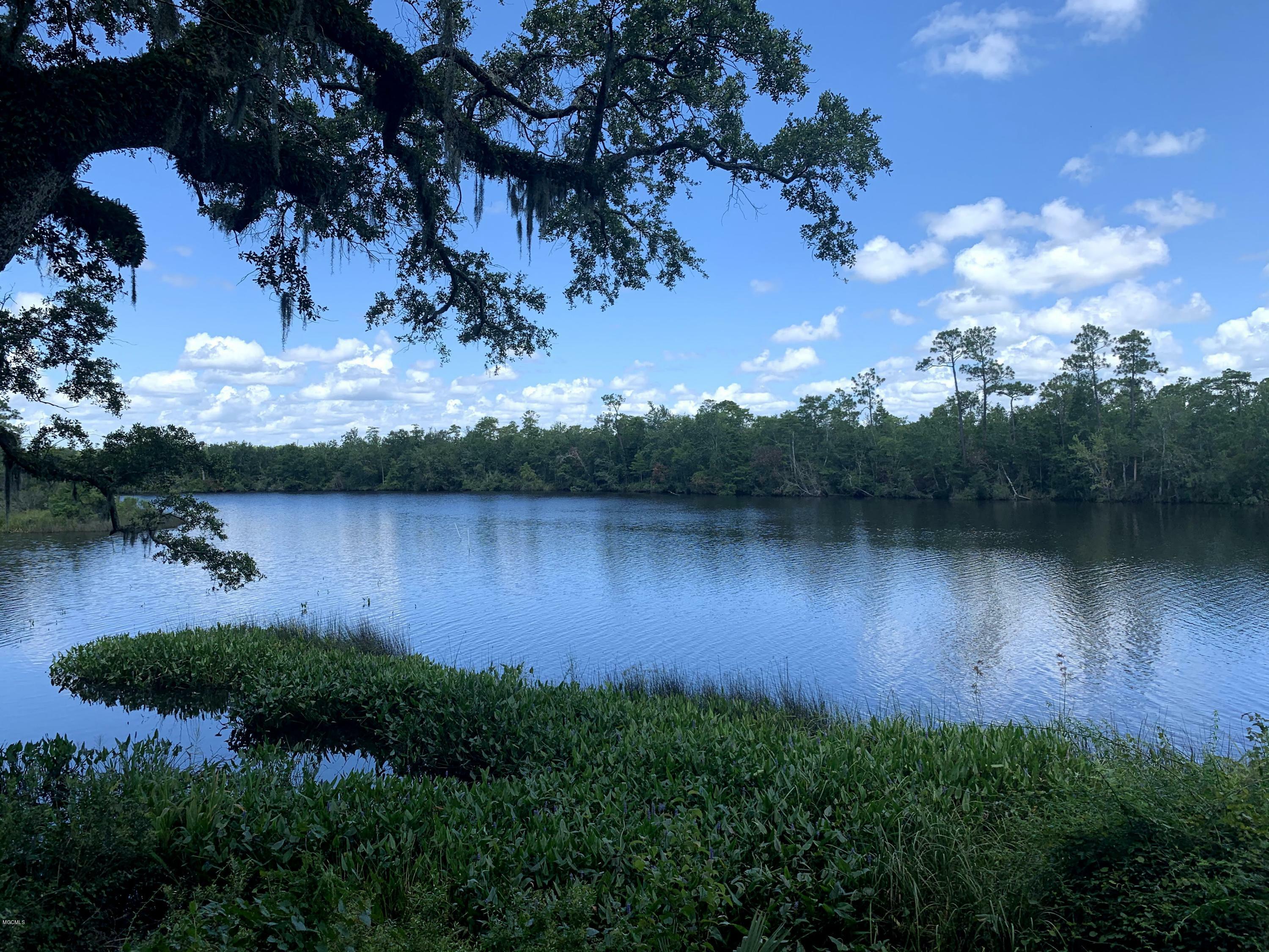 Property Photo: 6670 Crump Road MS 39556