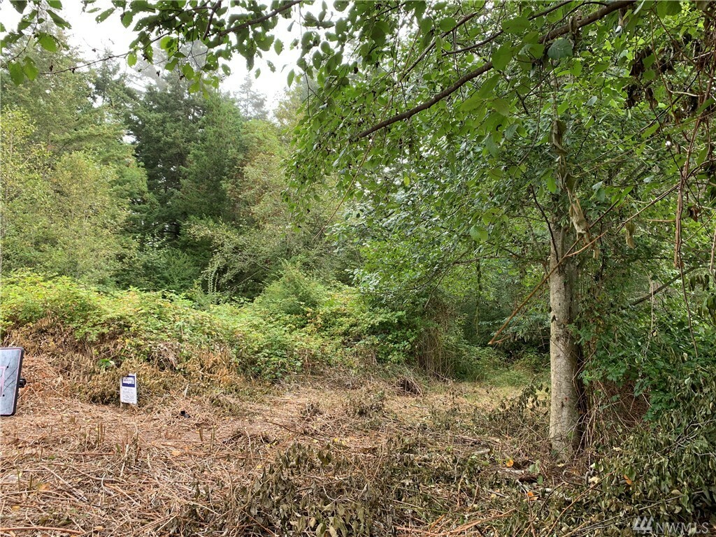 Property Photo: 256 Browne St WA 98250