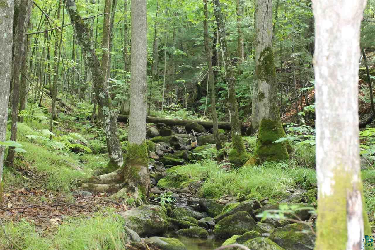 Property Photo: 000 Haugen Rd Lot 1 WI 54546