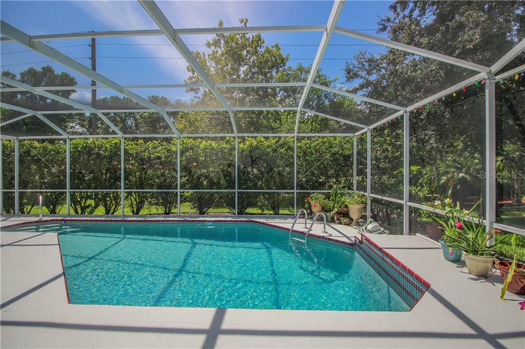 Property Photo:  2716 Saddlewood Lane  FL 34685 