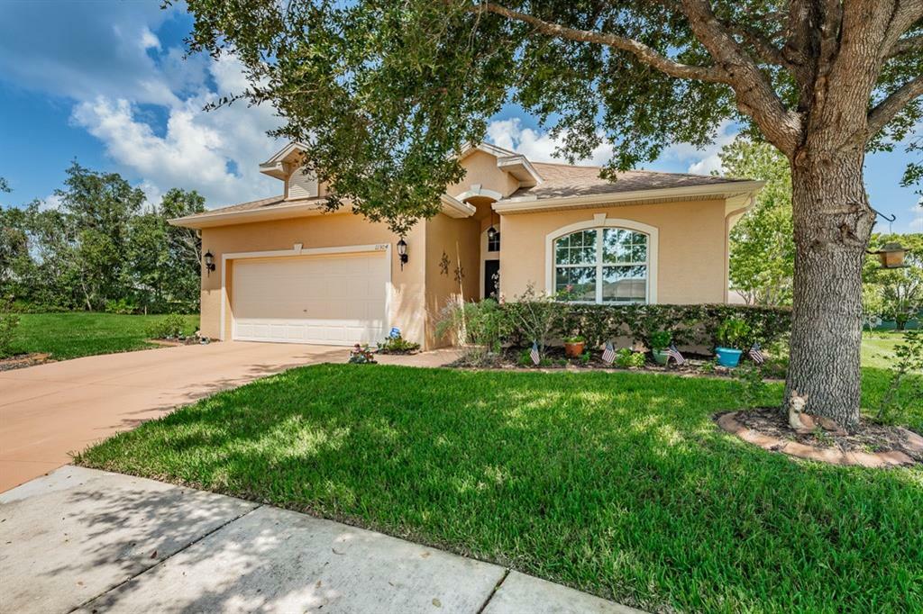 Property Photo:  11304 Mollymawk Court  FL 34654 