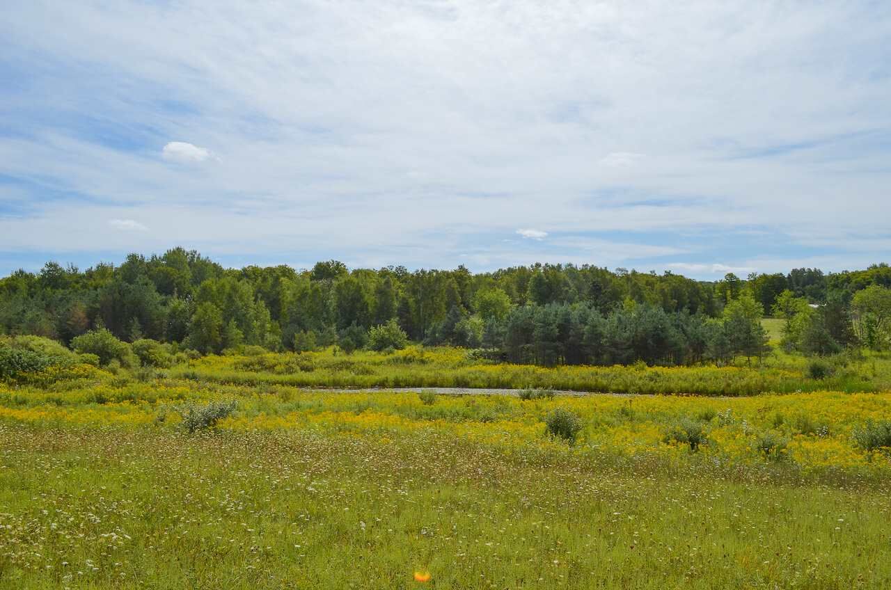Property Photo:  552 One Mile  MI 49755 