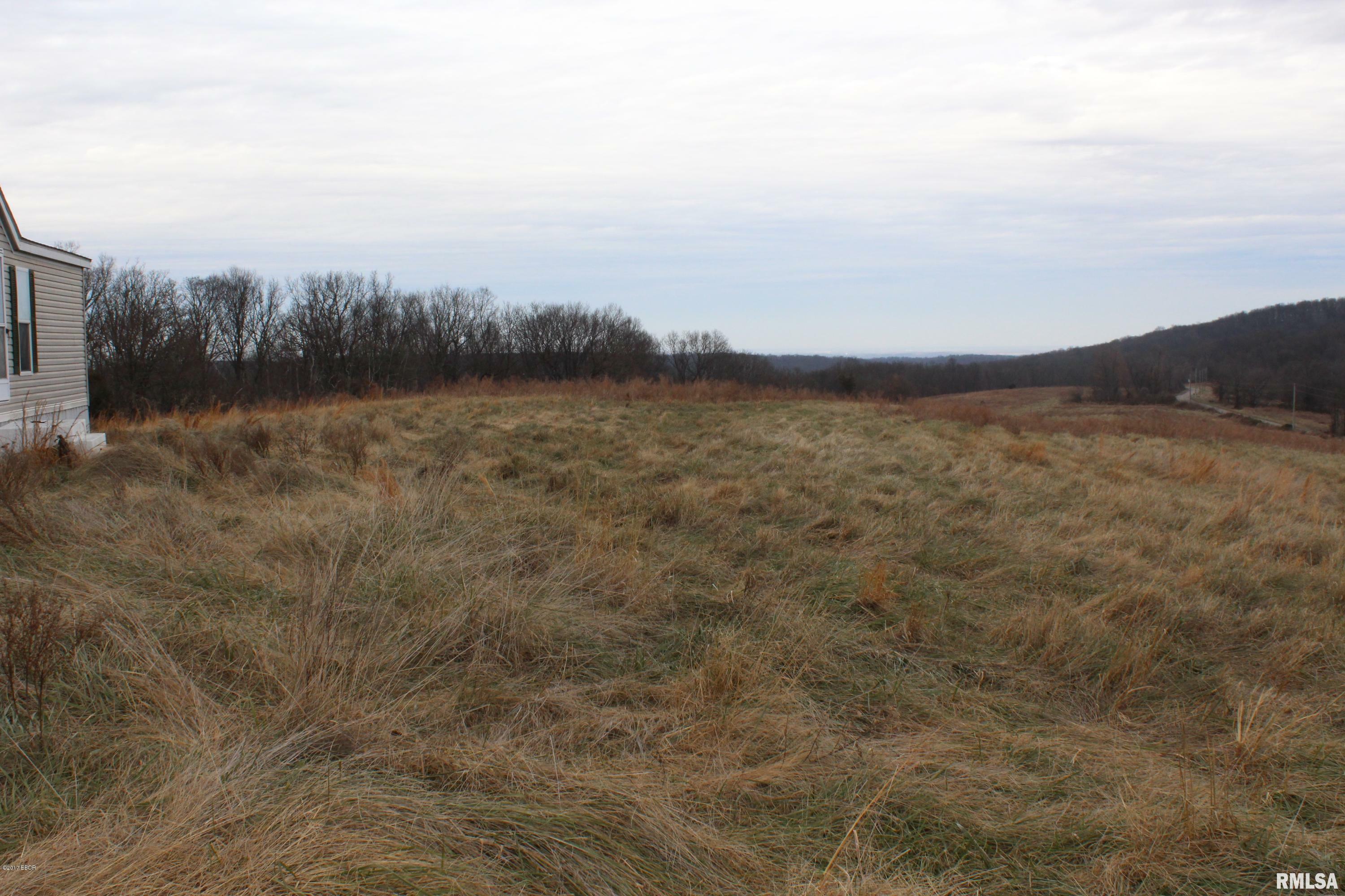 Property Photo: 0000 Bruce Johnson Road IL 62947