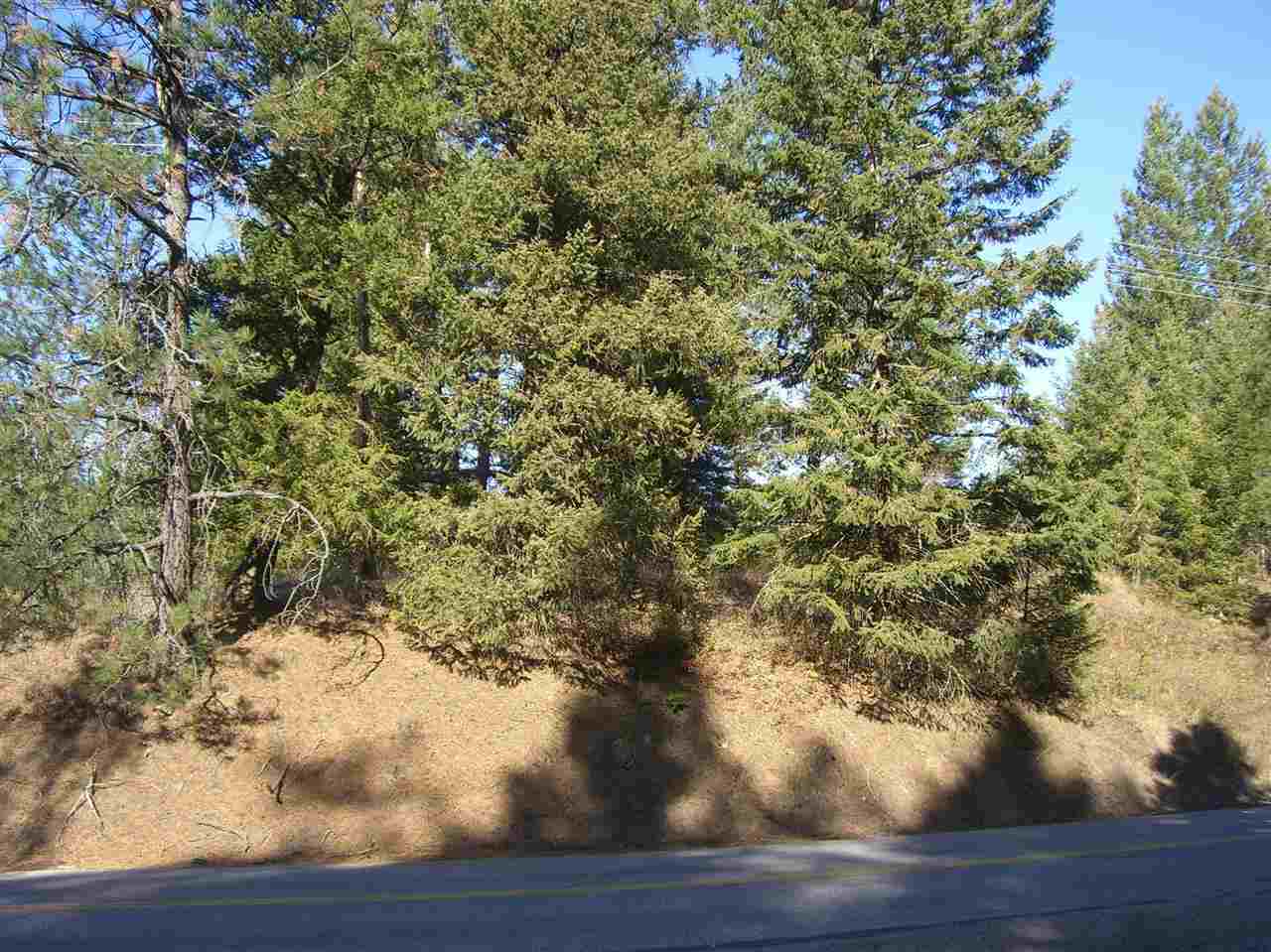 Property Photo: 39415 N Elk Chattaroy Rd WA 99009