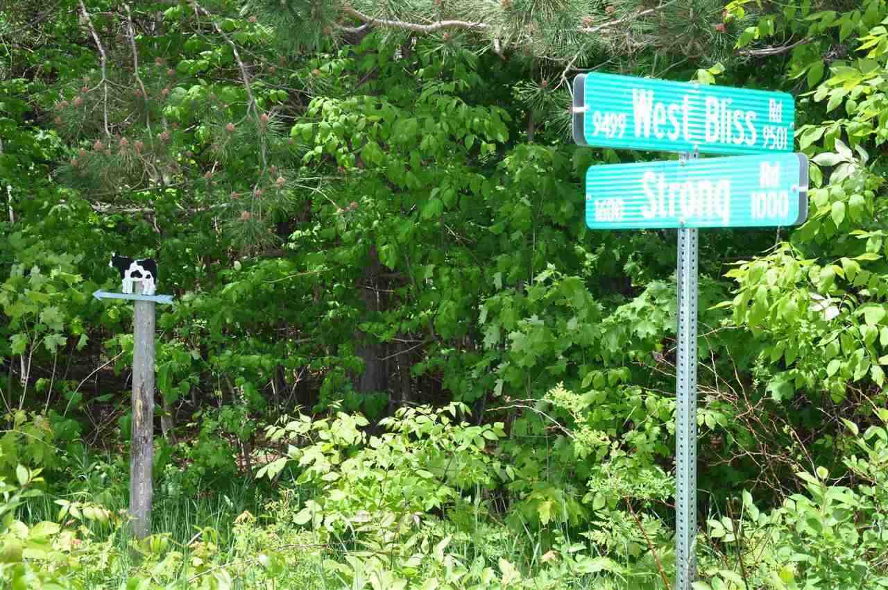 Property Photo:  Strong Road And W, Bliss  MI 49755 
