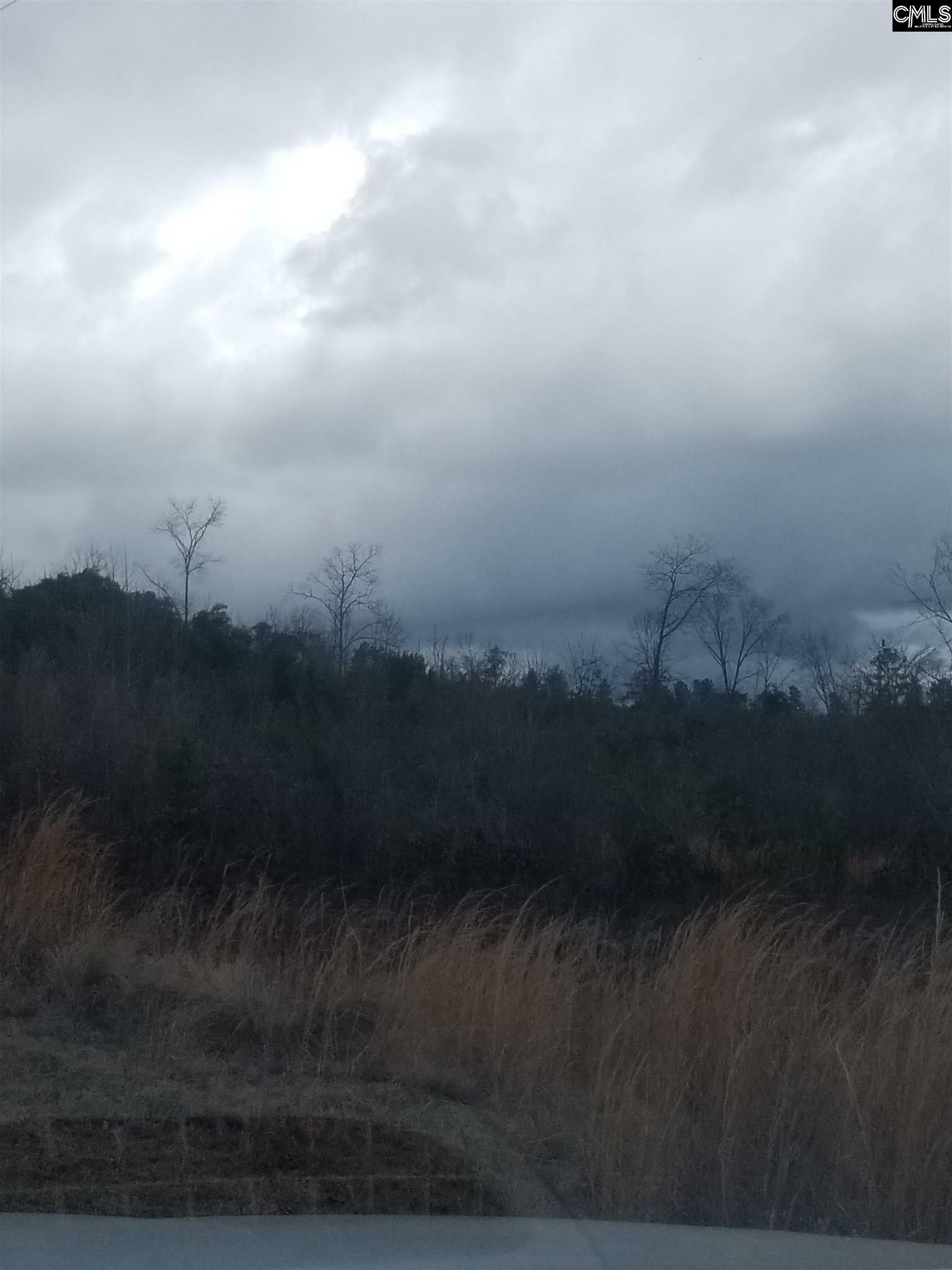 Property Photo: 0 Lot 3 Peachtree SC 29054