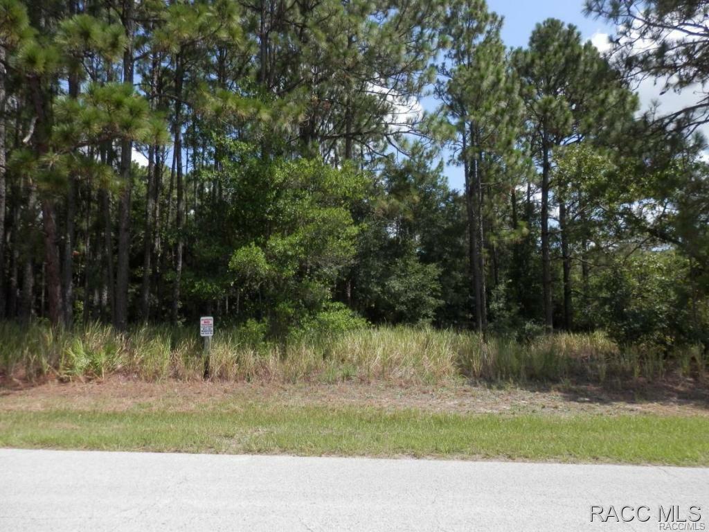 Property Photo:  1959 W Ivorywood Drive  FL 34465 