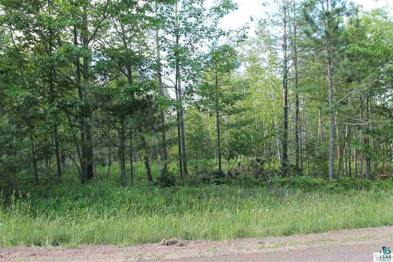 Property Photo: 000 McKinley Rd WI 54891