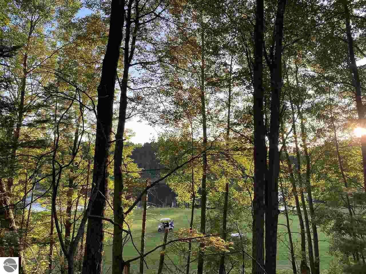 Property Photo:  00 Birchwood Lane  MI 49601 