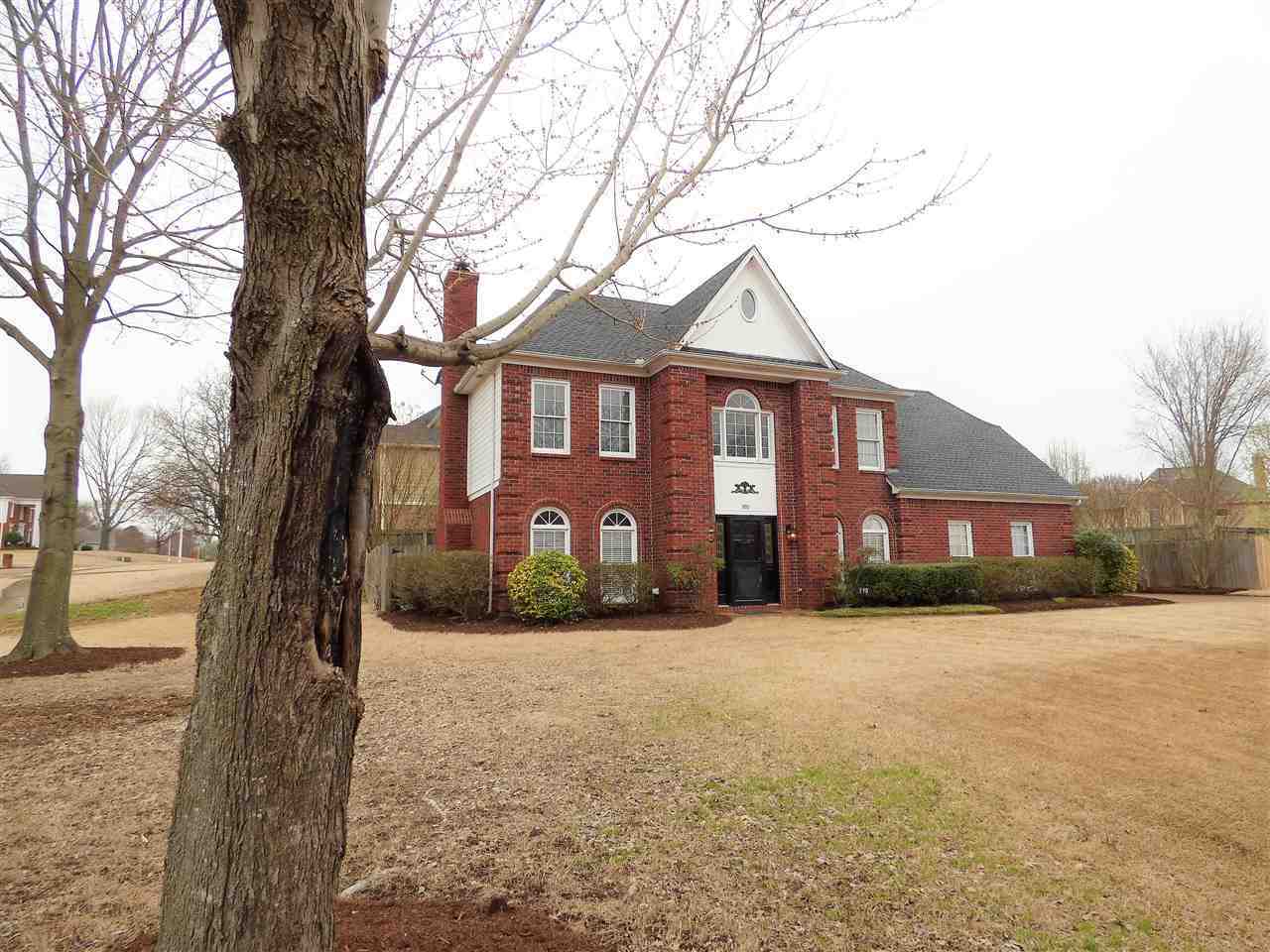 Property Photo:  390 Castle Creek Cv  TN 38017 