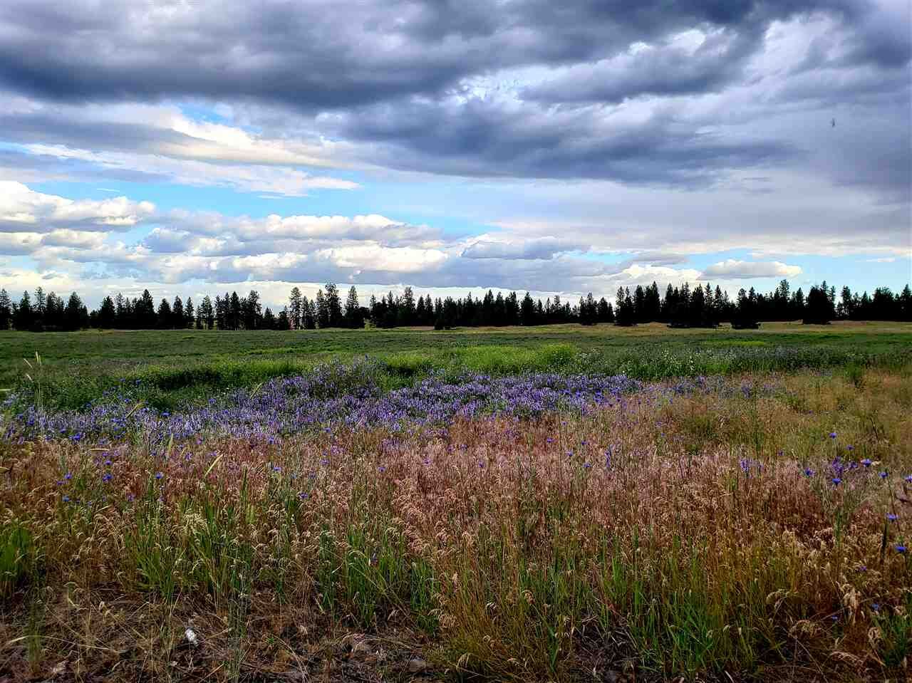 Property Photo: 14611 W Craig Rd WA 99224