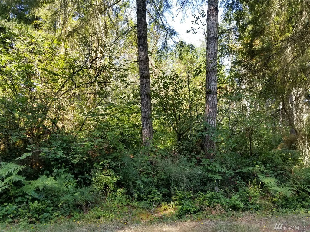 Property Photo:  10407 107th Ave Ct  WA 98303 