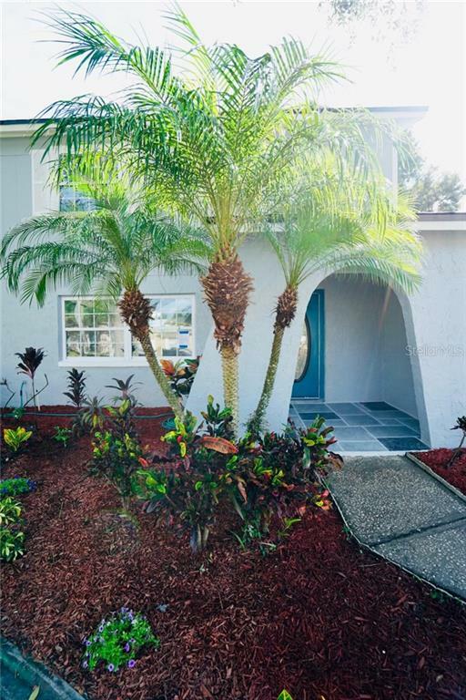 Property Photo:  7724 Jodi Lynn Drive  FL 33615 