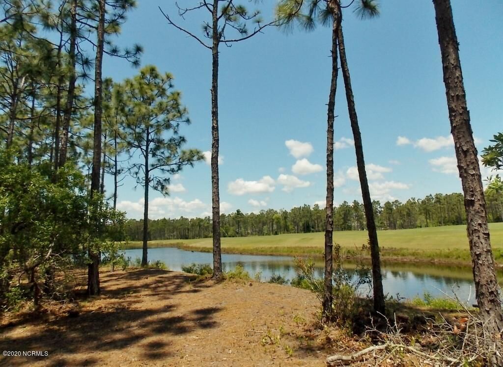 Property Photo:  3162 Moss Hammock  NC 28461 