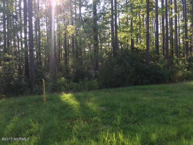 Property Photo: Lot 14 Satterthwaite Lane NC 27810