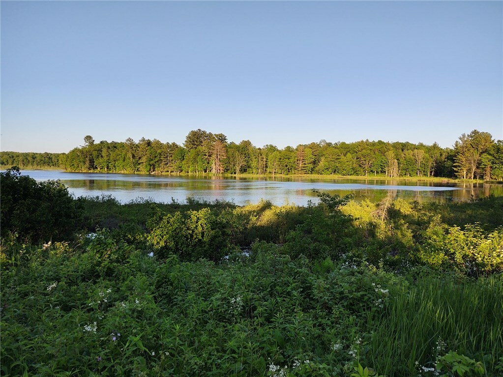 Property Photo: Lot 1 Gamebird Ln WI 54817