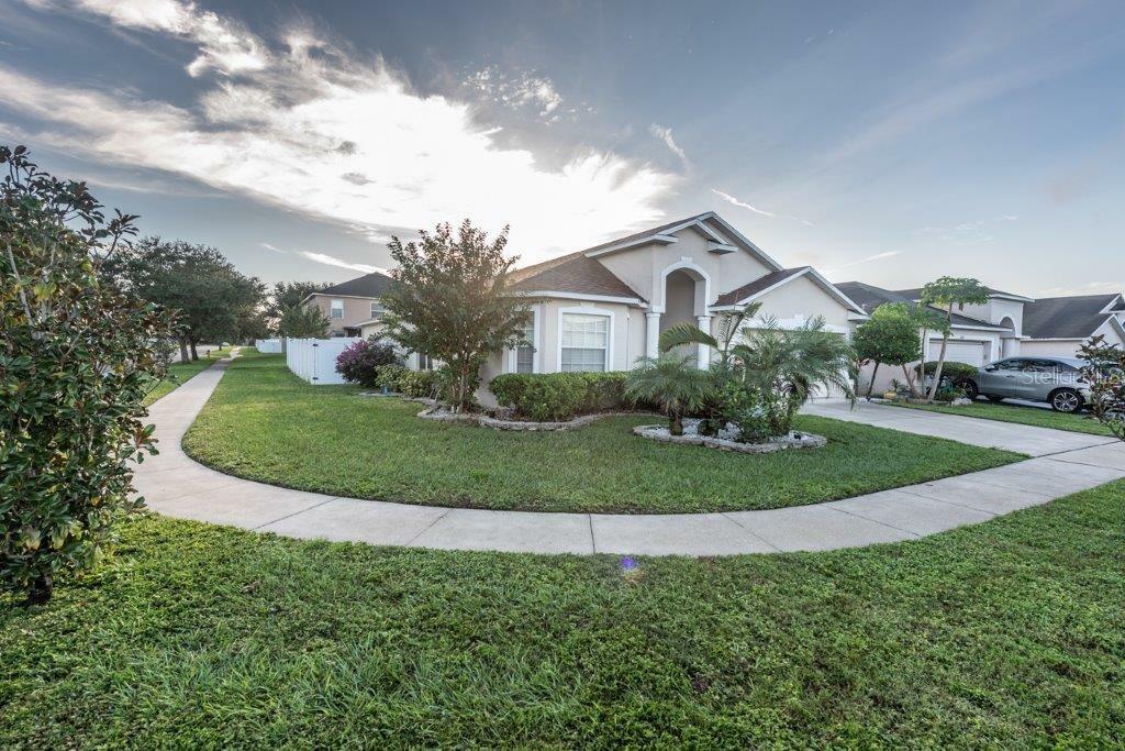 Property Photo:  10053 Creek Bluff Drive  FL 33578 