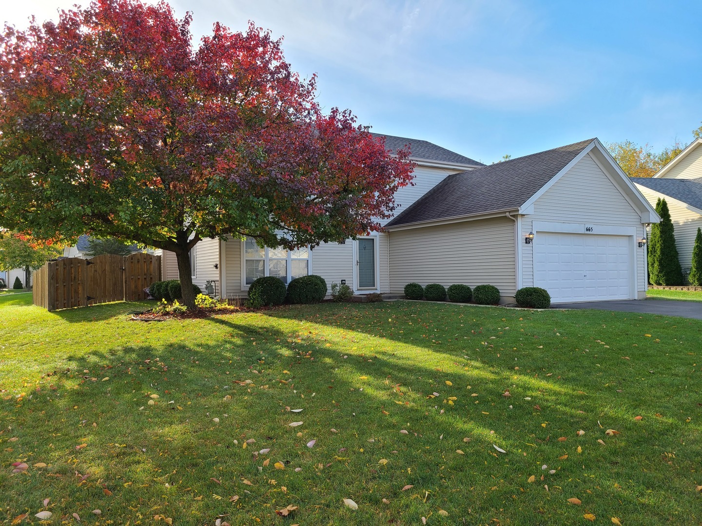 Property Photo: 665 Maple Drive IL 60107