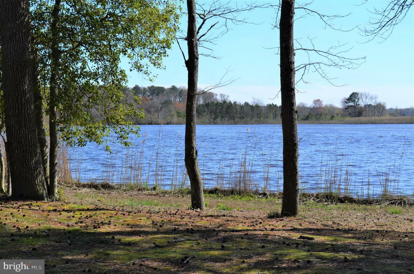 Property Photo:  10810 Piney Island Drive  MD 21813 