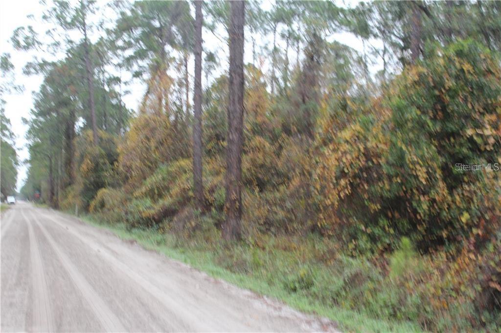 Property Photo:  1521 East Parkway  FL 32724 