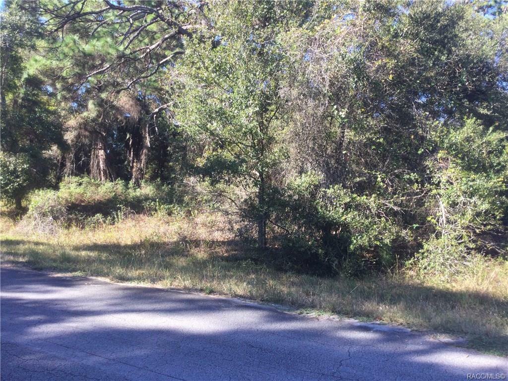 Property Photo:  12524 W Crystalview Lane  FL 34428 